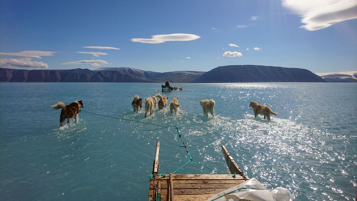 Grónsko je stále zelenější. Mokřadů uvolňujících metan přibylo čtyřnásobně